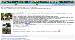 Desktop Screenshot of galgoni.com